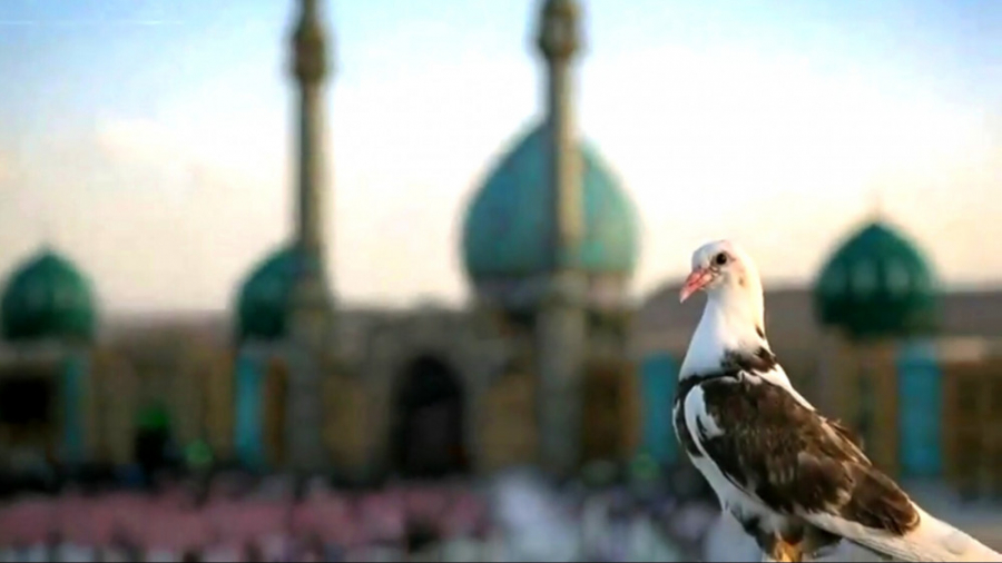 کلیپ شاد عاشقانه امام زمان عج