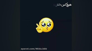 کلیپ نوشته  اهنگ غمگین  هیچ کس...