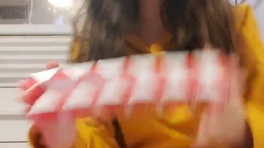 چالش فیجت ( آوین و نسیم )