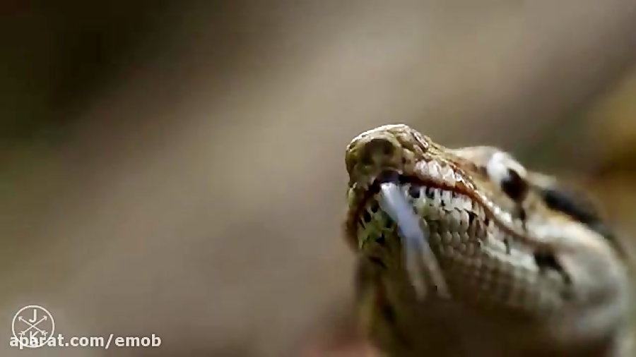 COSTA RICA IN 4K 60fps  ULTRA...