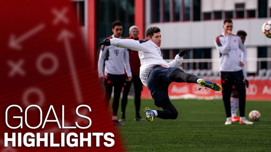 زیباترین گل های باواریایی ها د...