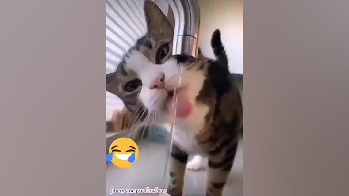 وقتی میخوام برم خونه ی مادر شو...