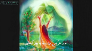 دیدن امام زمان عج .........