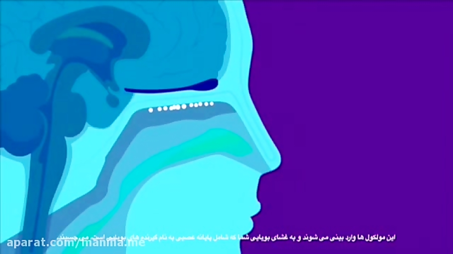 رایحه درمانی چگونه عمل می کند؟