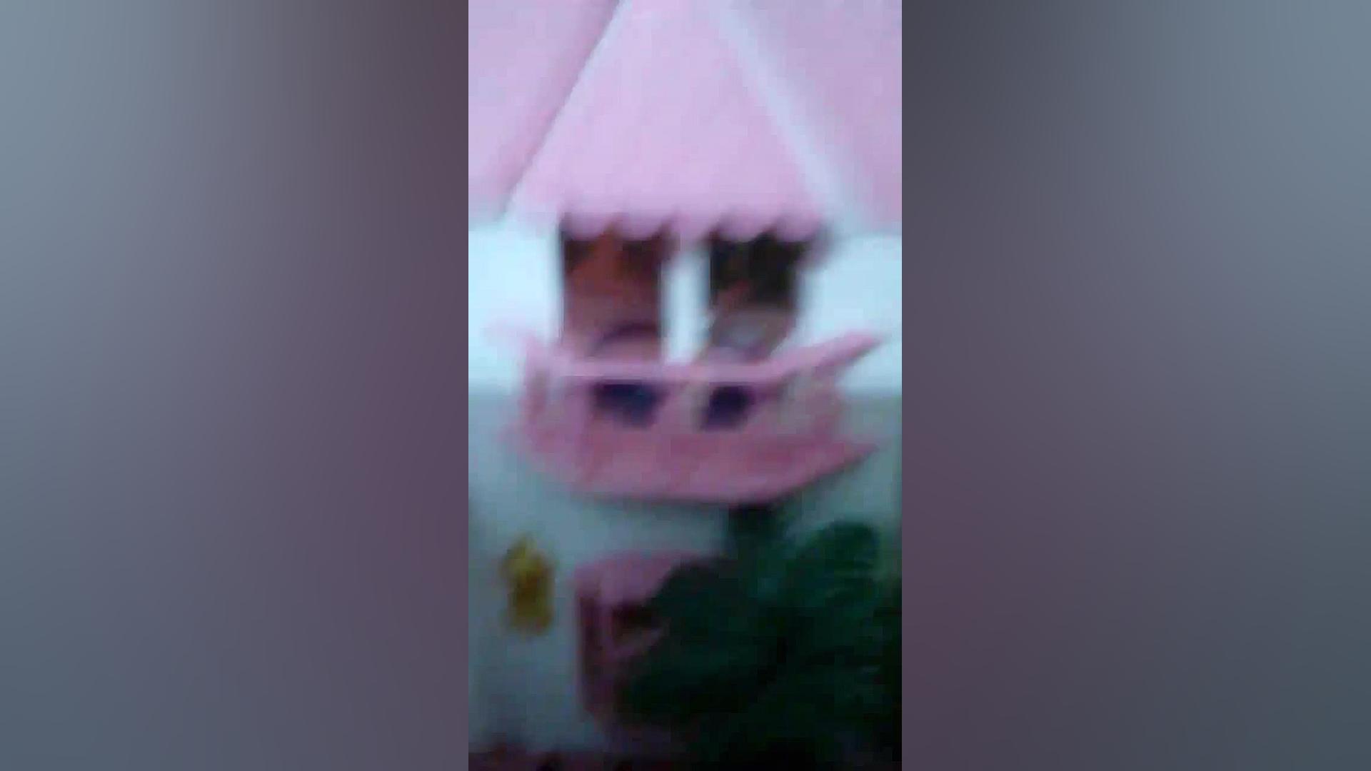 کلبه ی زهرا