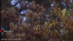 ترانه شاد " باران بزند &q...