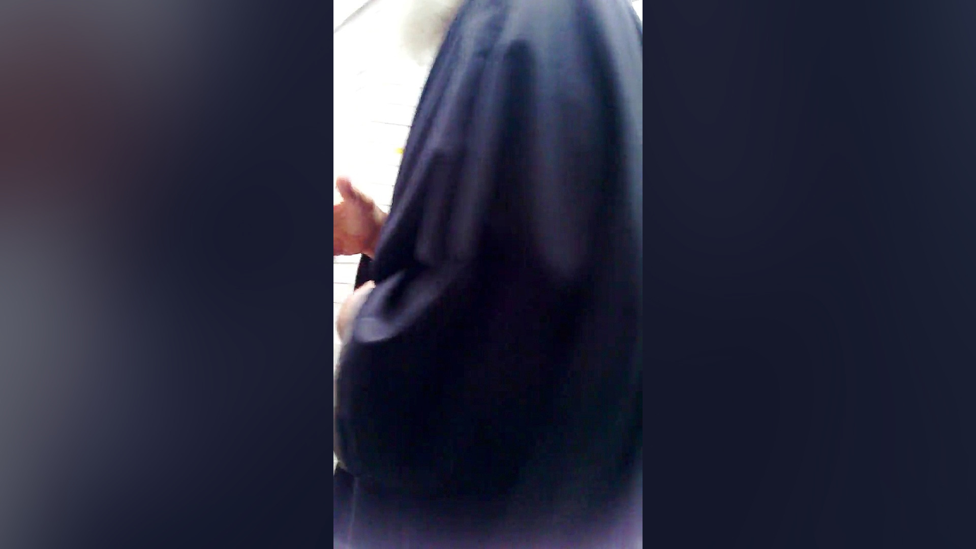 سید محمدصادق حسینی طهرانی