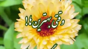 کلیپ سلام صبح بخیر شاد صبح زیب...