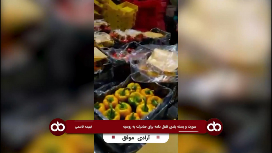 سورت و بسته بندی فلفل دلمه به...