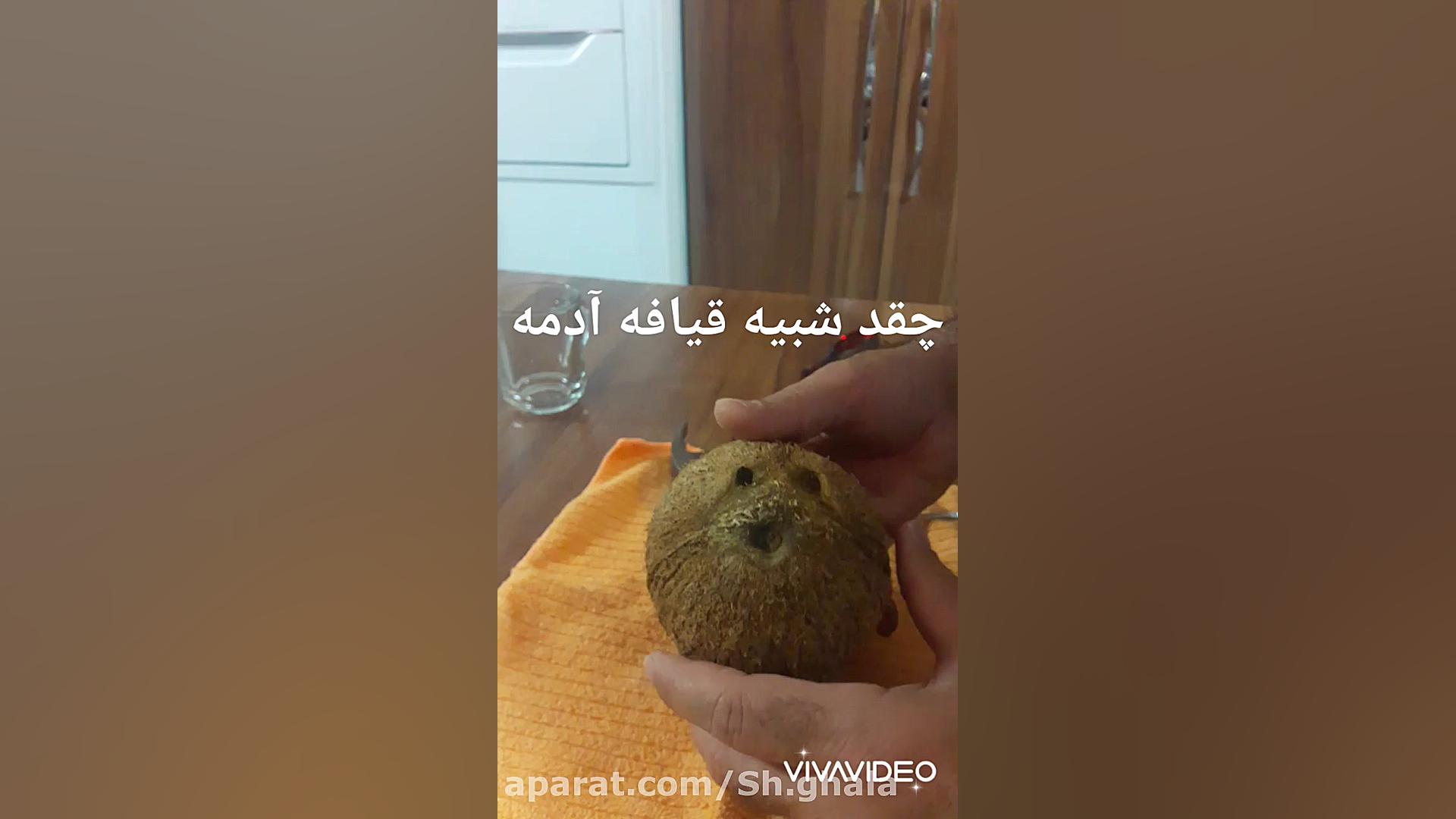 جداکردن پوست نارگیل