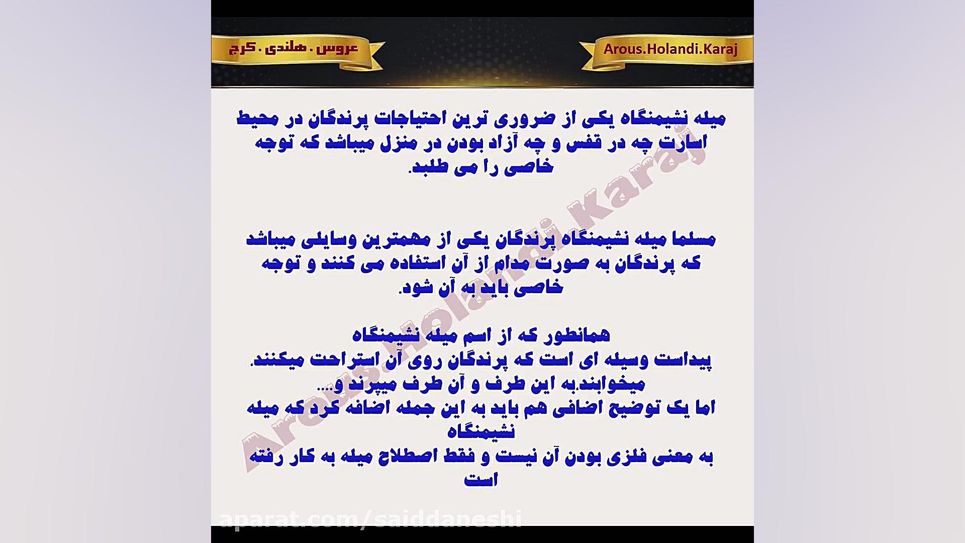 میله نشیمن عروس هلندی و طوطی