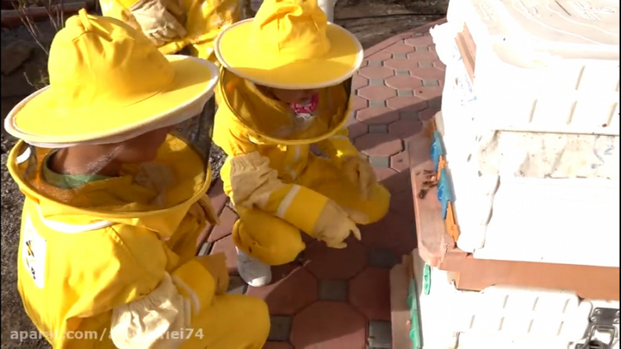 دیانا و روما  دیانا شو  دیانا...