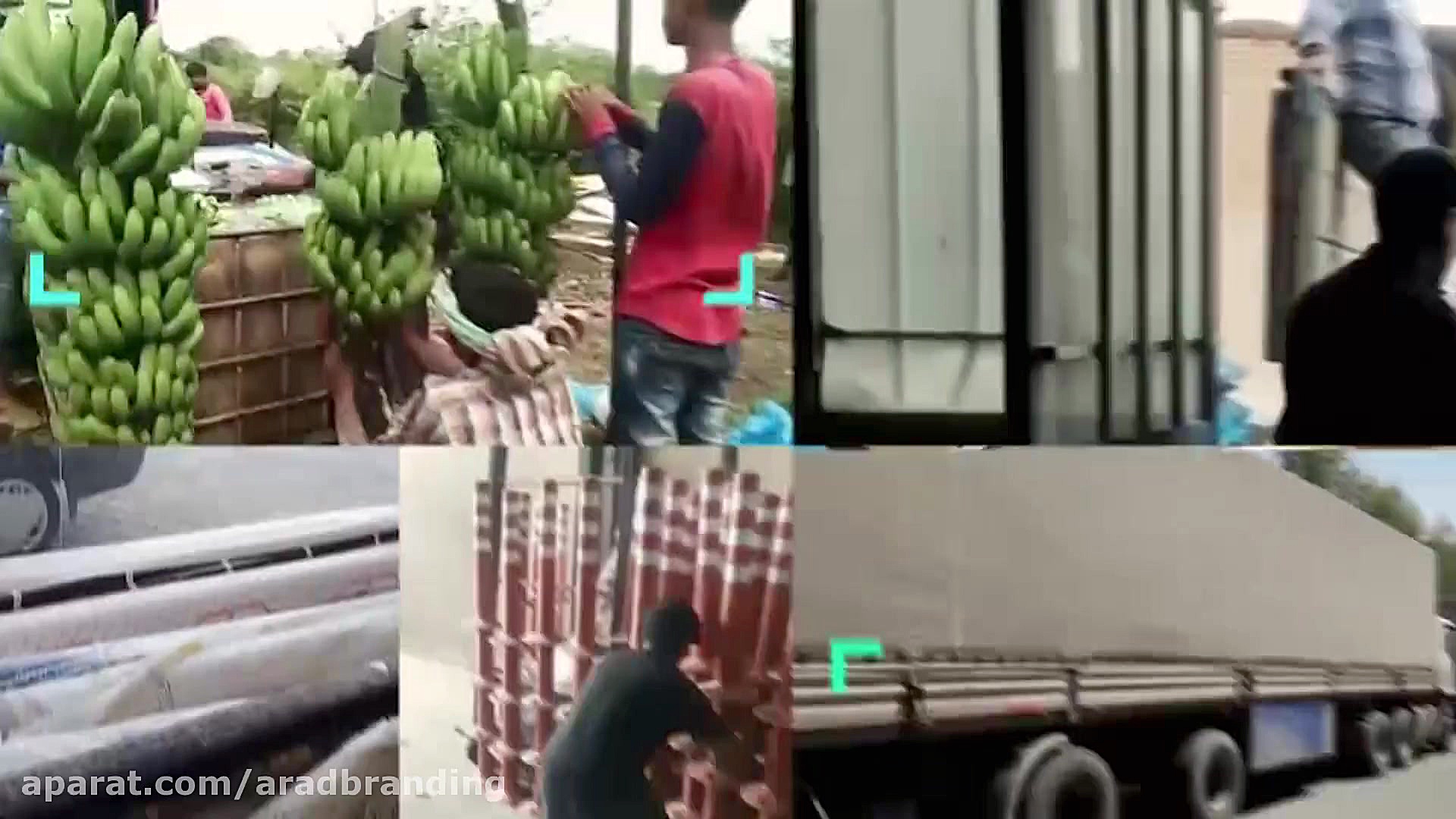 سید ایلیا ضیائی ادیب تاجر، جوا...