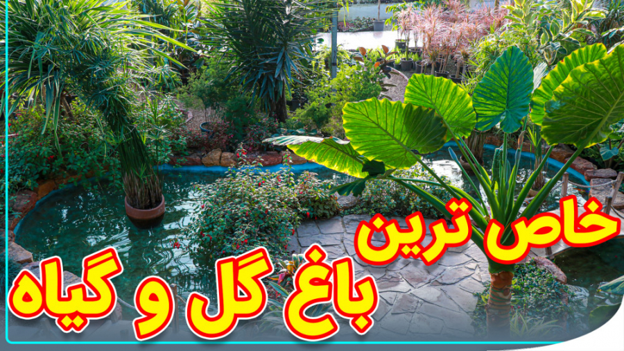 یکی از منحصر به فرد ترین گاردن...