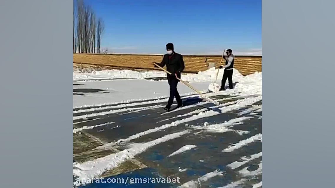 نجات جان مادر باردار :: الیگود...