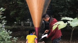 نقاشی سه بعدی