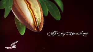 نرم کننده مو سر آرگان پرژک