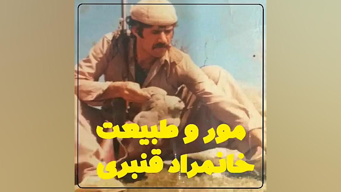 مور لکی خانمراد