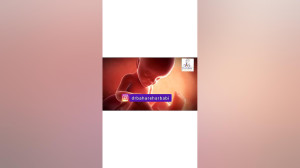 بارداری هفته به هفته  هفته 28...