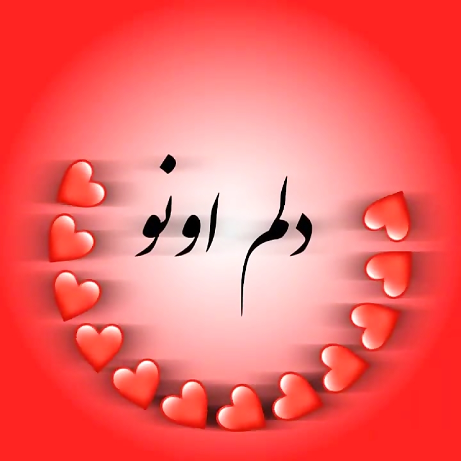 فالو کن فالو میشی(: