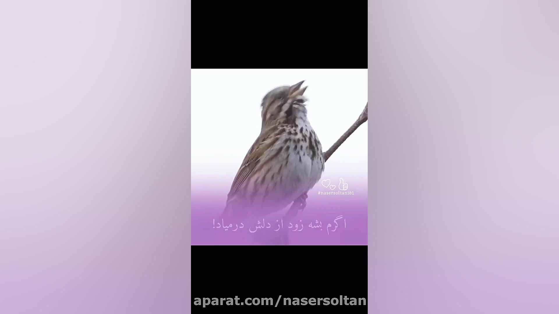 گاهی از بس مهربونی