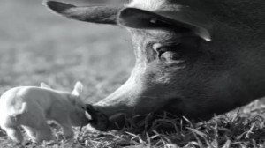 مستند سینمایی گوندا