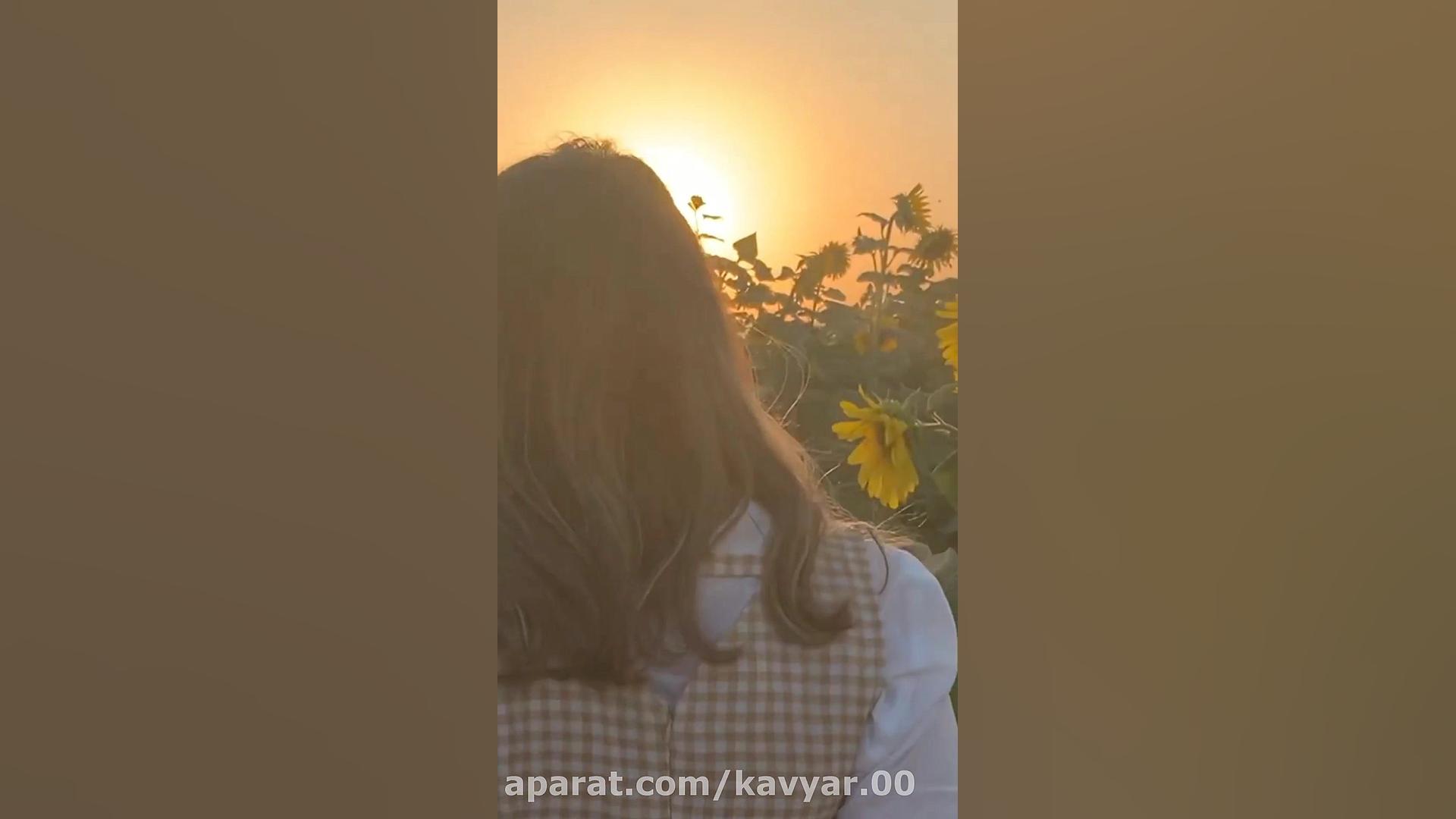 سرتیل.گلونی.لک.مور.مورلکی.هوره...