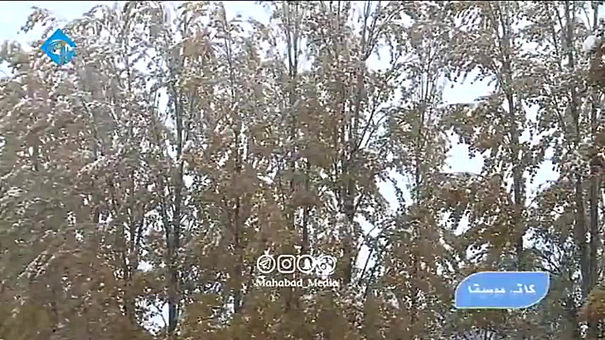 گورانی گولی توراو به ده&zwnj;ن...