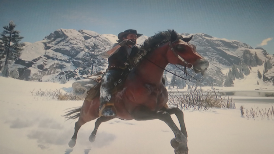 5 اسب برتر بازی رد دد ریدمپشن...