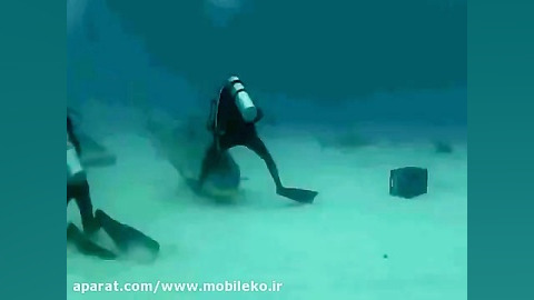 نجات یافته ها از مرگ حتمی