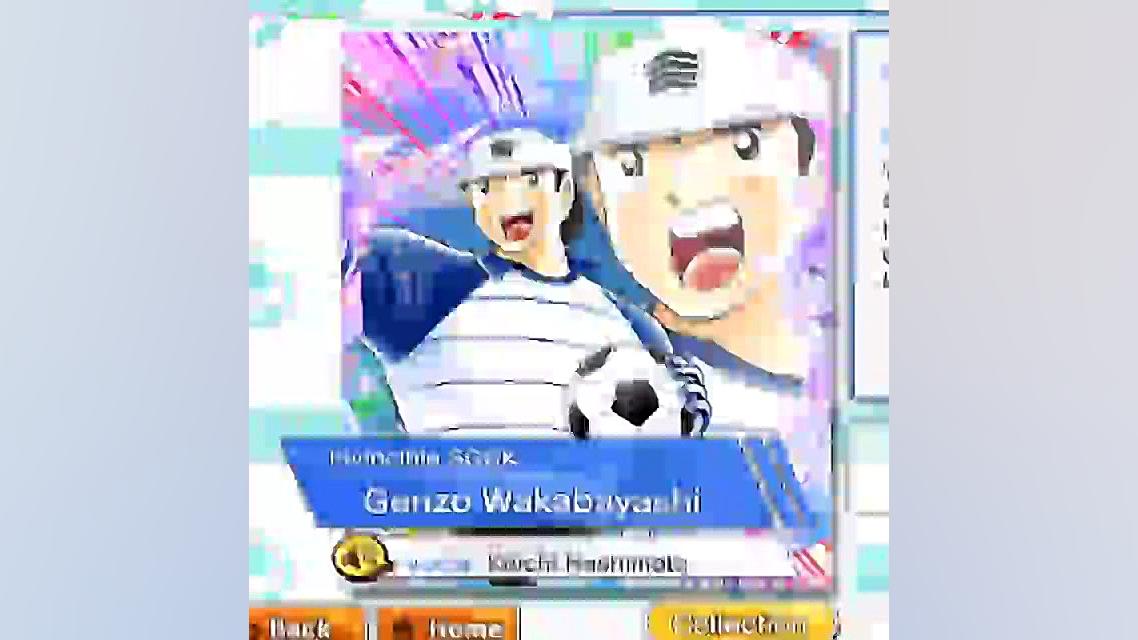 واکی بایاشی