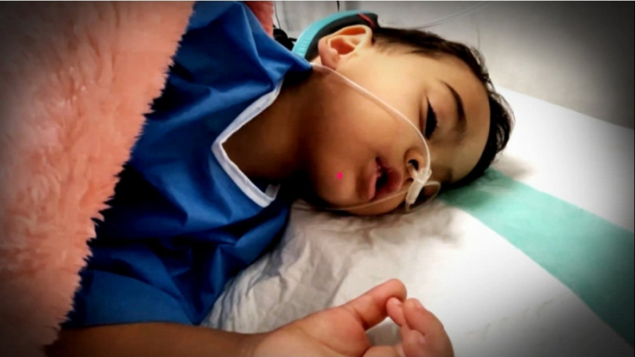 خانواده ماچارتا | امیرصدرا رو...