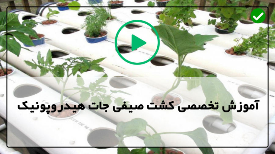 فیلم رایگان آموزش کشت صیفی جات...