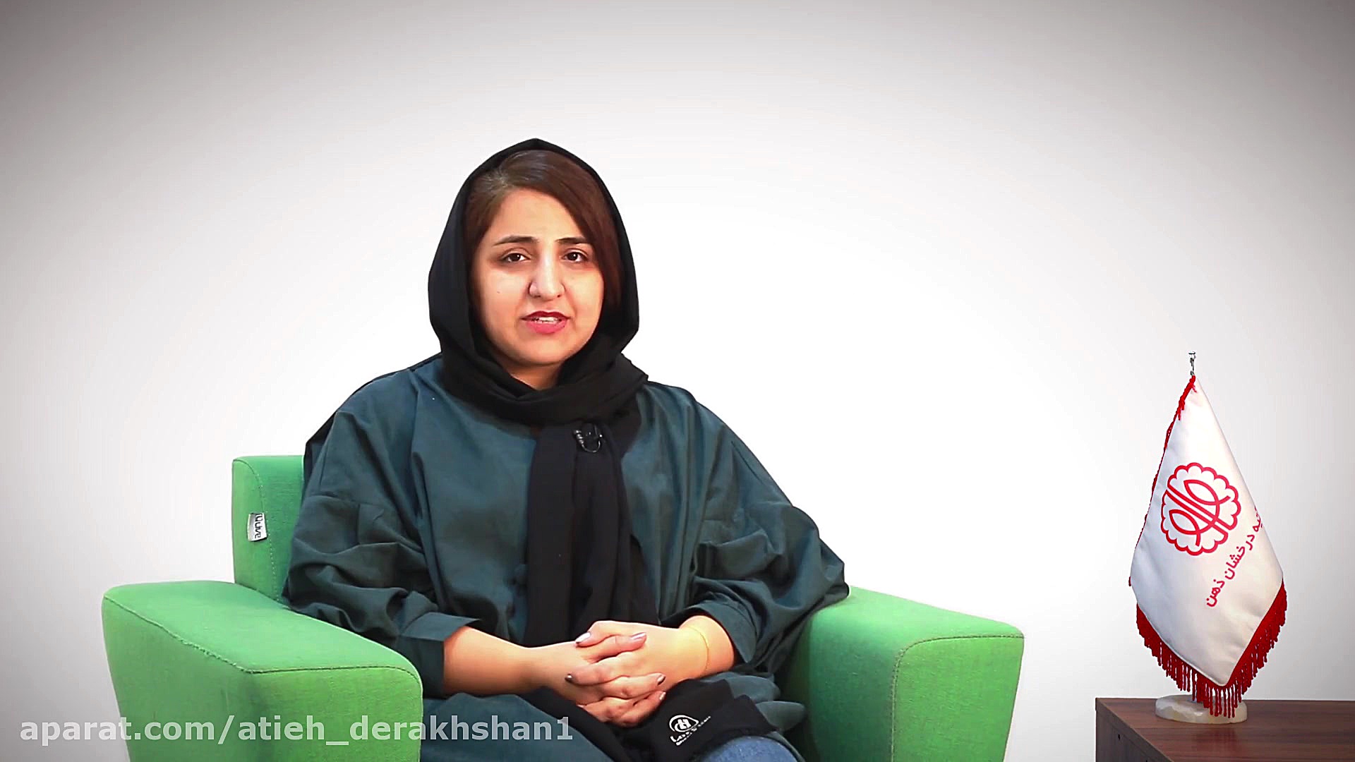 رزومه و معرفی سمیه سعیدی از زب...