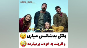 ستاره شمالی