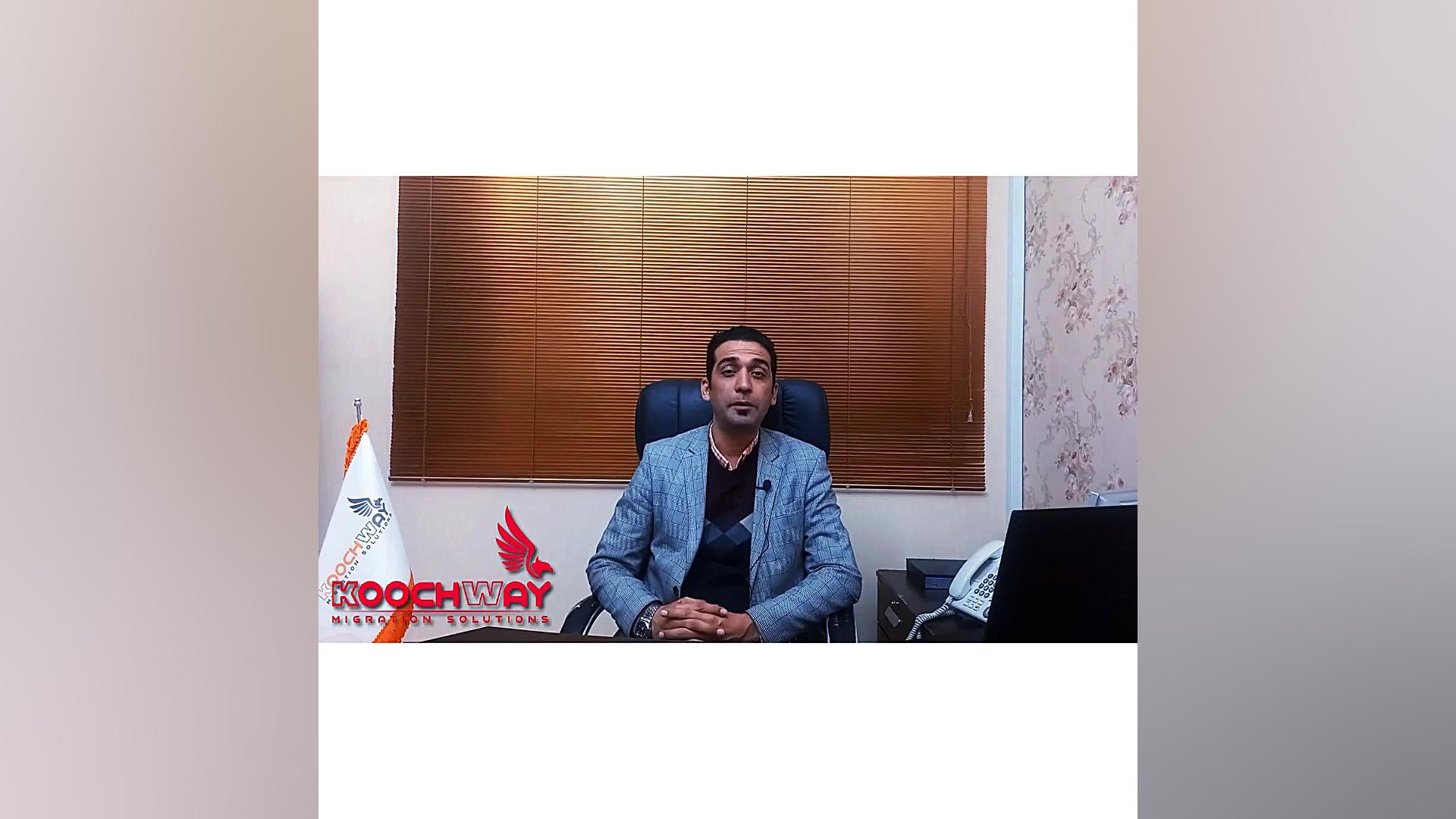 گنجشک به جای قناری