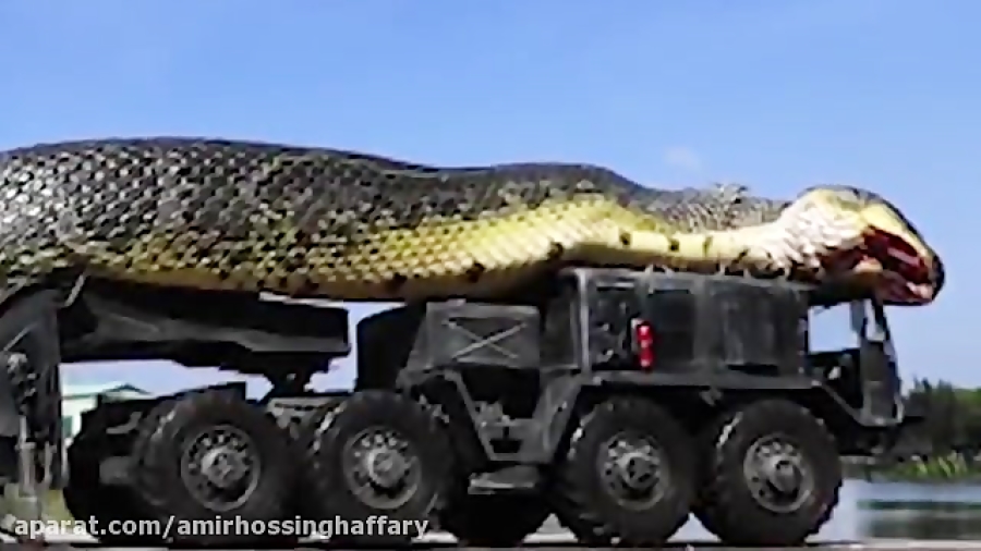 بزرگترین مار جهان که از یه تری...