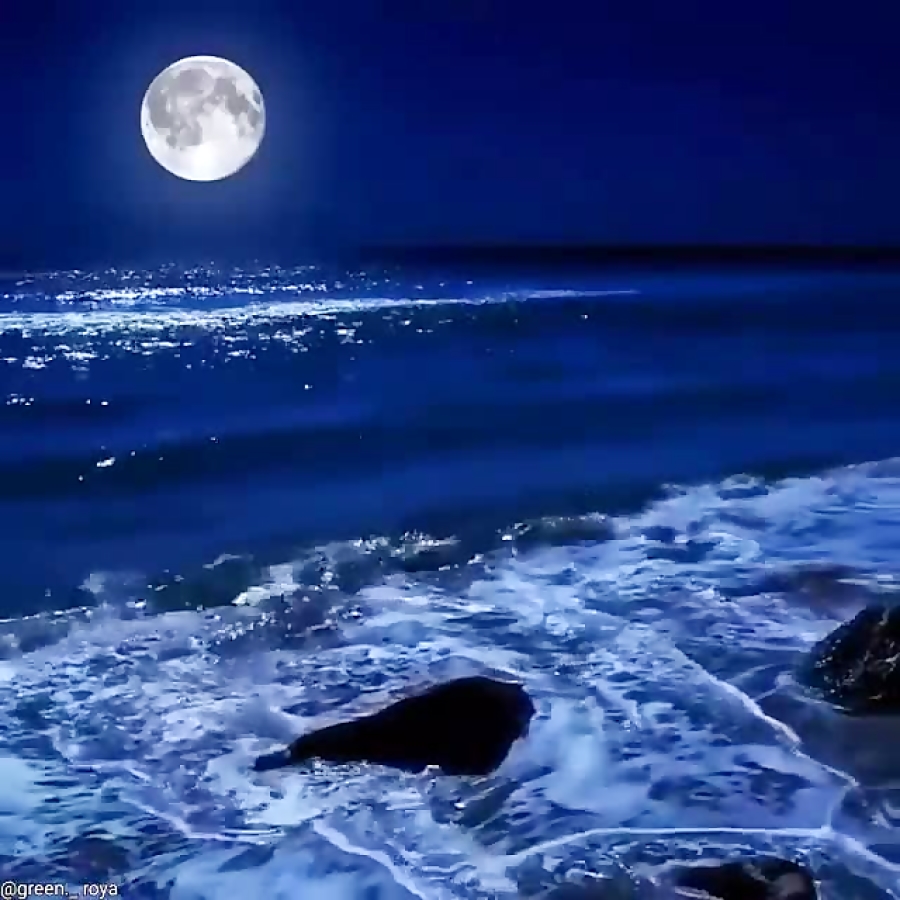 شب دریا مهتابی