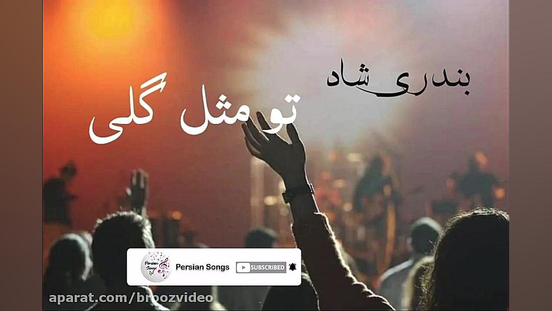 اهنگ شاد بندری تو مثل گلی  Aha...