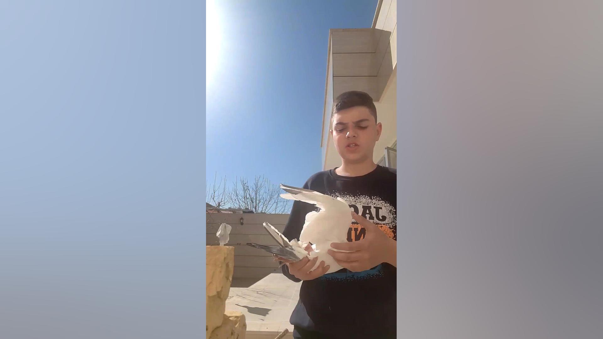 زمان دون دادن به کفتر و...