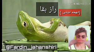 فردین جهانشیری