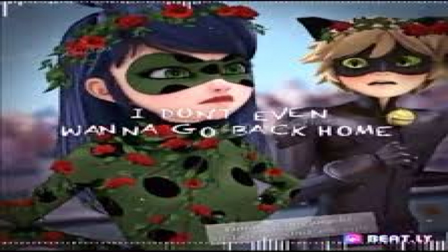 کلیپ زیبای لیدی باگ و گربه سیا...