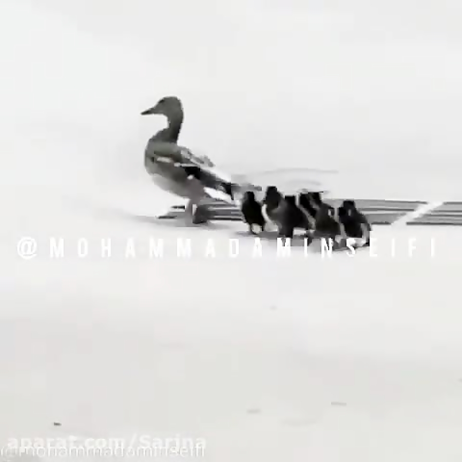 فیلم خنده دار