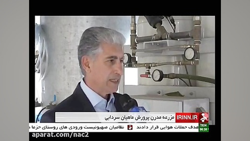 پرورش ماهی قزل الا