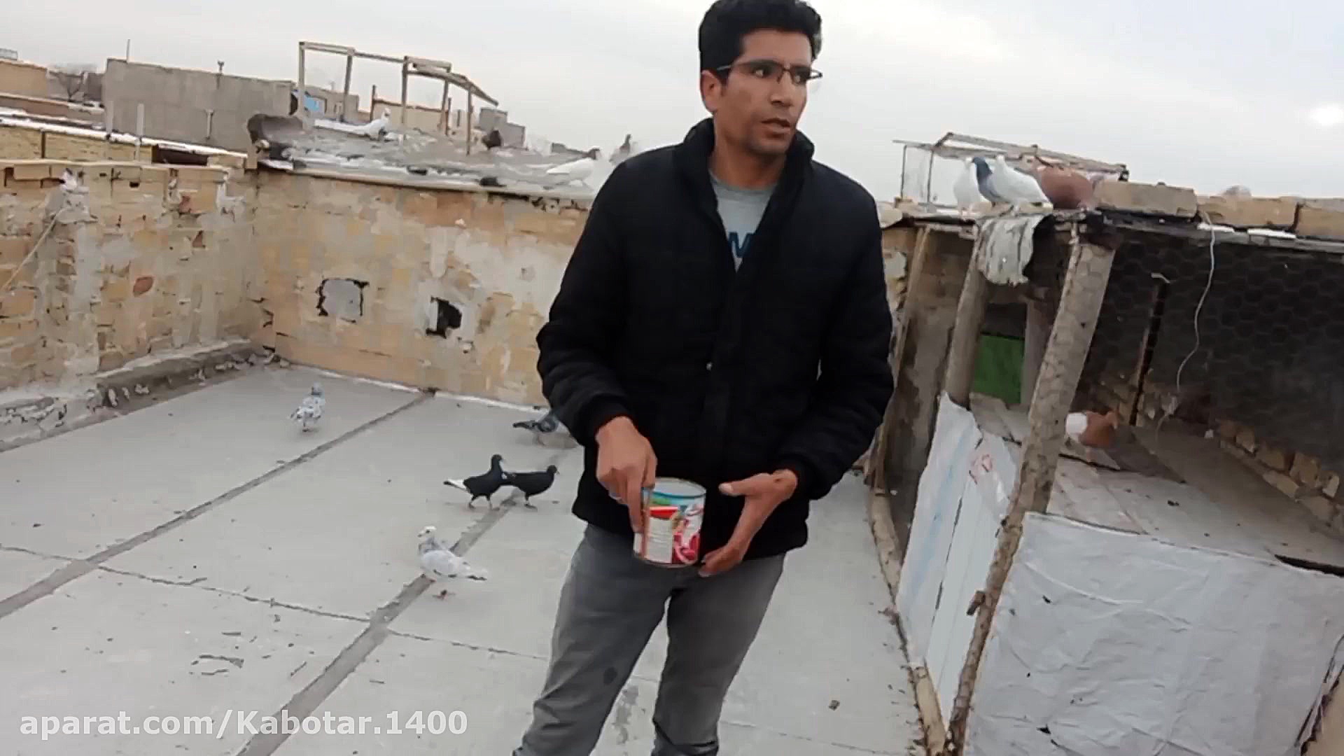 جلد کردن کبوتر مرحله دوم