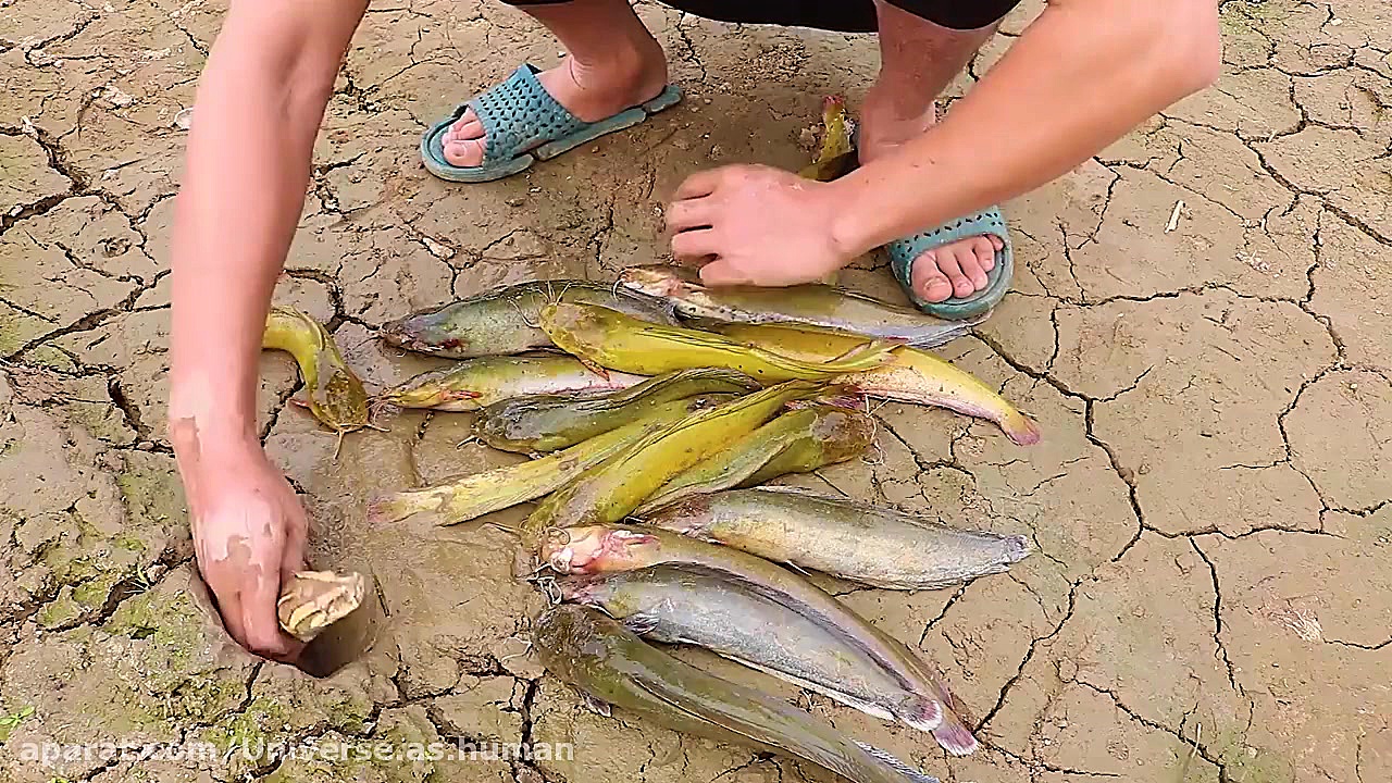 تکنیک عجیب ماهیگیری با مار،باو...