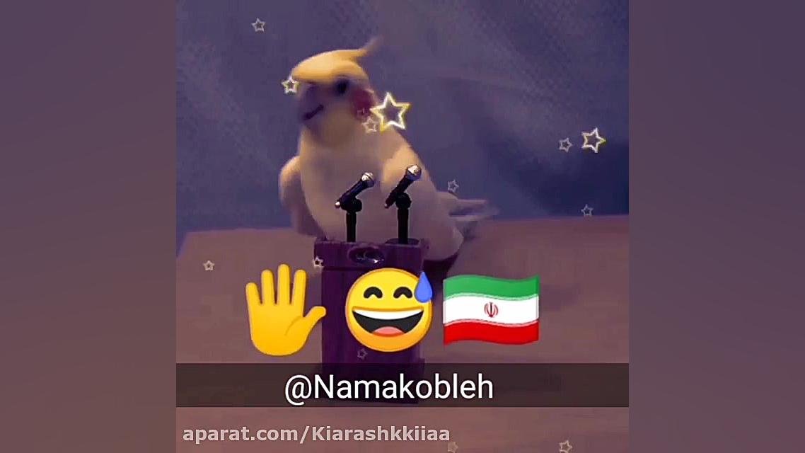 ولنتاین یا ۲۲ بهمن