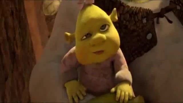 باحال ترین خر دنیا ( خر شرک)