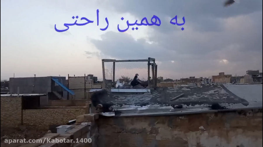 غریب گیری با تور تله