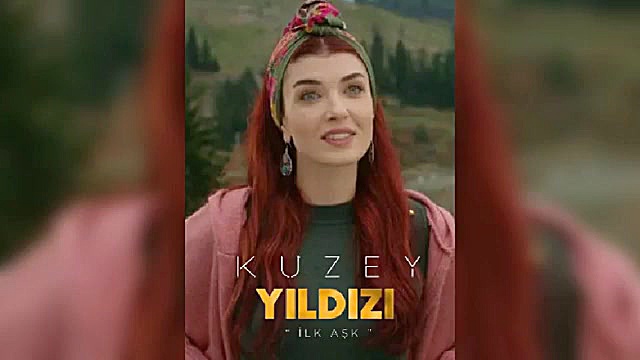 ستاره شمالی